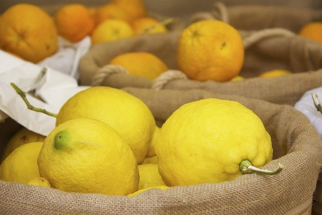 Citrónovník 4 ročné obdobia (Limone 4 Stagioni)