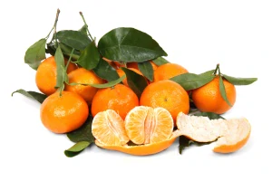 Mandarinkovník Clementino