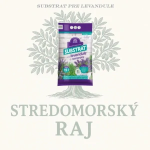 Substrát pre levandule a rozmaríny