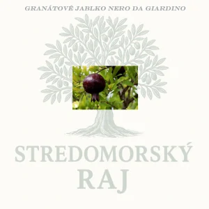 Granátové jablko Nero da Giardino